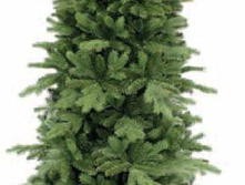 ����� ���������� 260��_11632 ���.JPG