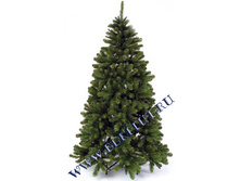 ������ ��� ����������� ������� 200 �� ����� �� ����_6318,90 ���