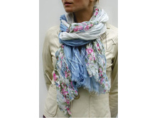 ��-43.1,  �������.jpg