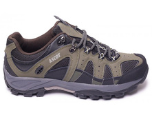 2570 ���., 41-46