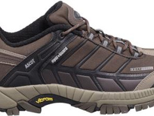 1890 ���., � 43 �� 46