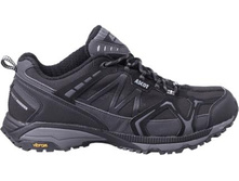 1890 ���., � 36 �� 46