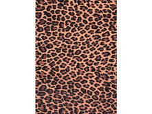 207 ������.jpg