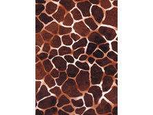 209 �����.jpg