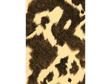 283 �����.jpg