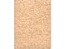 334 ����� ���.jpg