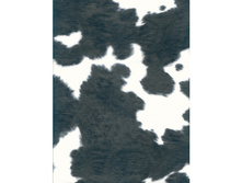 369 ����� ������-���.jpg