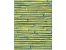 373 ������ �������.jpg