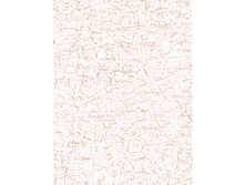 444 ����� �����.jpg