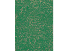 445 ����� ��������.jpg