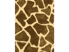 446 ����� �������.jpg