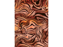 448 ������� ������.jpg