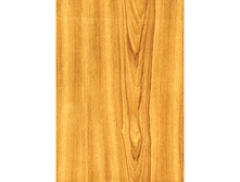 450 ������.jpg