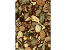 451 ������.jpg