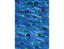 453 ���� �����.jpg