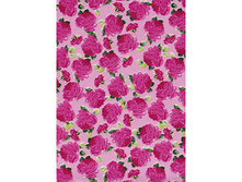 455 ���� �� ���.jpg