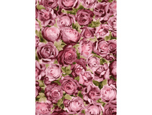 459 ��������-��� ����.jpg