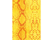 478 ����� ����.jpg