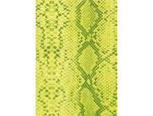 481 ����� �����.jpg