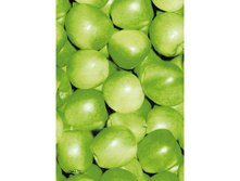 490 ������ �����.jpg