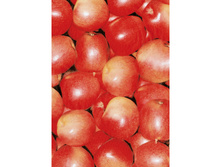 491 ������ �����.jpg