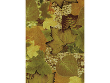 493 ���� ������ ������-�����.jpg