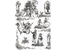 495 ��� 19 �����-���.jpg