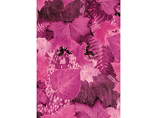 500 ���� ������ ���.jpg