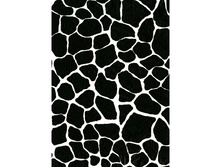 504 �����.������ ����.jpg