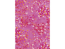 505 �������� �� ���.jpg