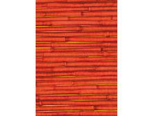 507 ������ �����.jpg