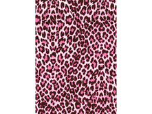 527 ��� ������.jpg