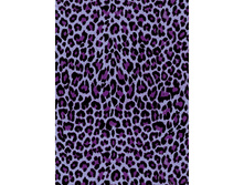 528 ������ ������.jpg