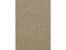 529 ������ �����.jpg