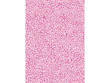 533 ������ ���.jpg