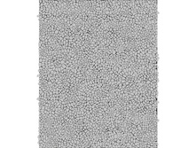 535 ������ �����.jpg