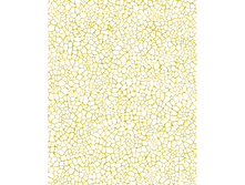 540 ������ �����.jpg