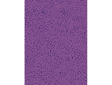 550 ������ ������.jpg