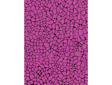 554 ������ ��������-����.jpg