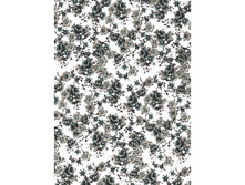 557 �������� �����-���.jpg