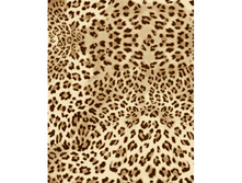 563 ������ ���������.jpg