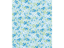 569 ����� �� �������.jpg