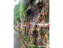 �������-�����