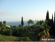 ����� ����