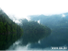 ����� ����