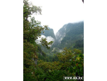 ������ ������, ������