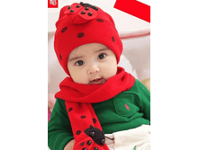 �������+������  ����: 260 ���.