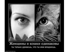 143564_zhenschinyi-i-koshki-odinakovyi.jpg