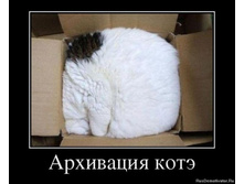 1356904030_13937077_cat7z.jpg