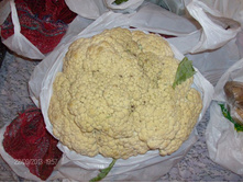 ������� �������.jpg